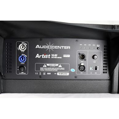 Элемент линейного массива Audiocenter Artist T45-DSP
